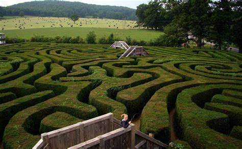 Longleat Hedge Maze – Difficult, But Interesting Challenge For Tourists ...