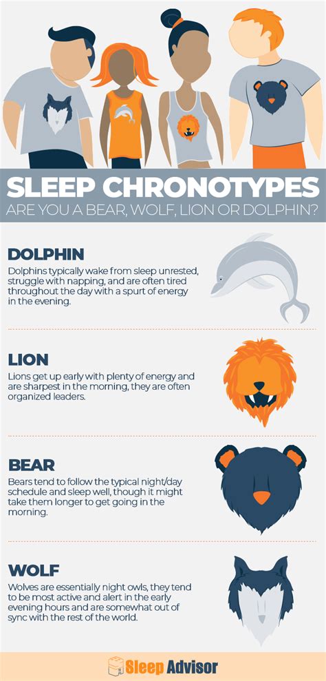 Chronotypes definition and types i – Artofit