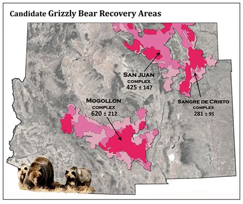 Grizzly Bears for the Southwest: History & Prospects for Grizzly Bears ...