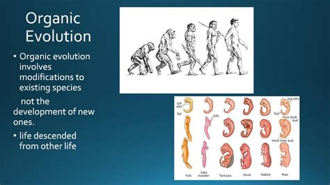 Origins of Life Evolution - ppt download