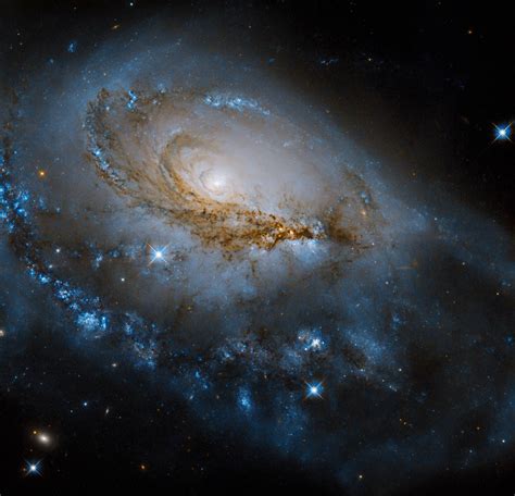 Hubble Focuses on Enormous Spiral Galaxy: NGC 1961 | Sci.News