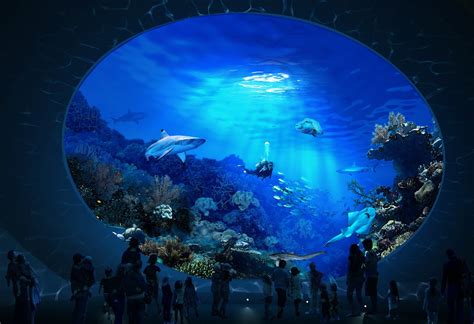 Seattle Aquariums ansatte får gratis billetter til offentlig transport