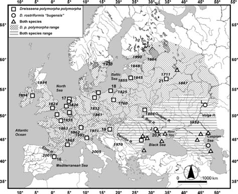 4 Current distribution and date of rst report of zebra mussels and ...