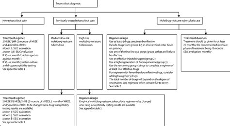 Tuberculosis treatment and management—an update on treatment regimens, trials, new drugs, and ...