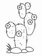 Cactus coloring Pages sketch template