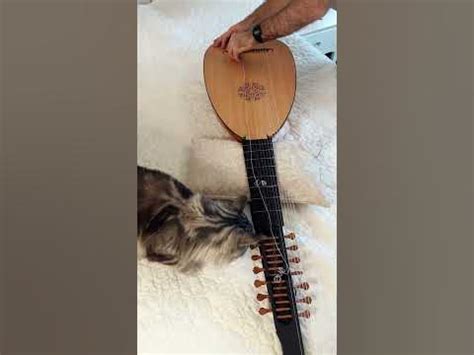 How long does it take to change the strings on a theorbo? #strings #theorbo #guitar #instruments ...