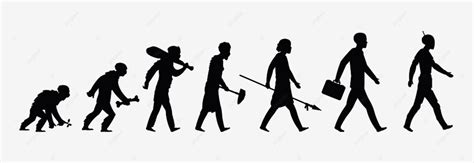 Monkey Ape Vector Art PNG, Human Evolution Silhouette Monkey Ape ...