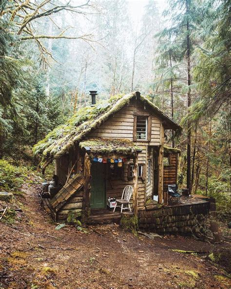 A cabin in the woods : CozyPlaces