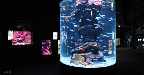 See 10,000+ Marine Species with This Aquarium de Paris Ticket