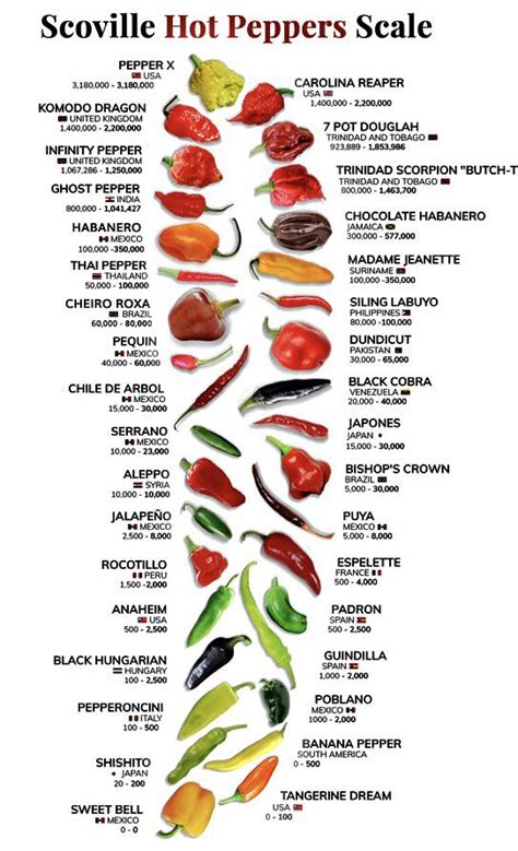 Pepper Scale : r/coolguides