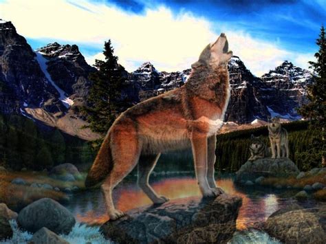 fantasy, Original, Art, Artistic, Artwork, Wolf, Wolves Wallpapers HD / Desktop and Mobile ...