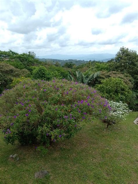 Three Bedroom Chalet Style Home with View of Volcano Arenal - Lake Arenal Properties