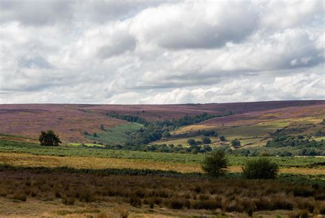 North Yorkshire Moors National Park 22607202 Stock Photo at Vecteezy