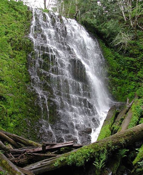 Tillamook Forest Center | Oregon Coast | Educational | Tillamook state forest, Oregon coast ...