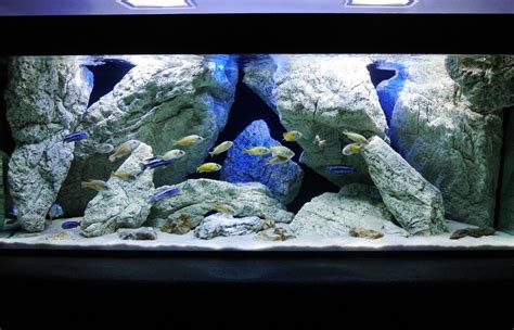 Malawi underwater caves for cichlids - ARSTONE Aquarium Backgrounds