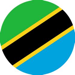 Tanzania flag icon - Country flags