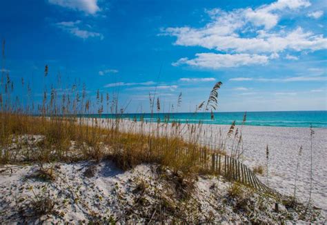 Perdido Key State Park | Florida State Parks