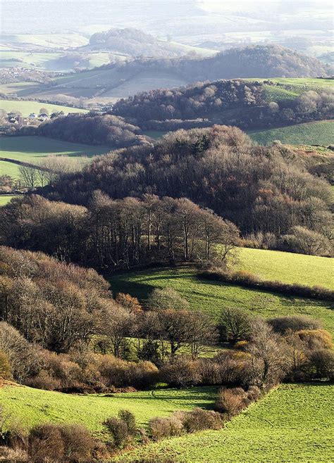 Dorset Woods | English countryside, Dorset, Scenery