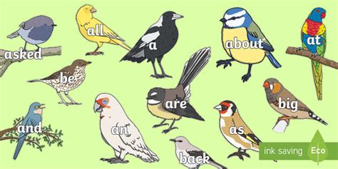 100 High Frequency Words on Birds (teacher made) - Twinkl