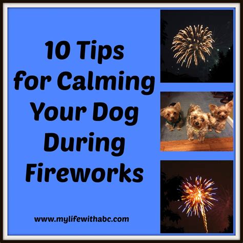 10 Tips for Calming Your Dog During Fireworks | My Life with ABC