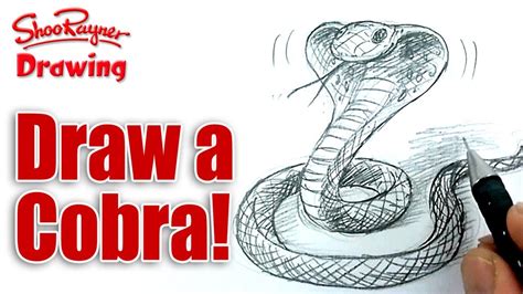 Realistic King Cobra Drawing : Green Snake | Giblrisbox Wallpaper