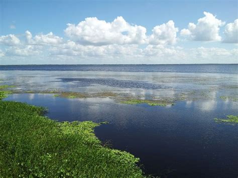 Debary, FL | Places to visit, Natural landmarks, Landmarks