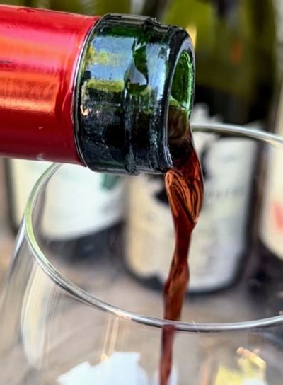 The Complete List of Top 100 Best Wines Tasted in 2023 - Wine Oceans