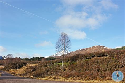 Glen Affric Photo Essay - The Little Backpacker