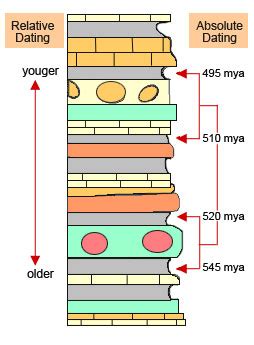 Absolute Age Of Fossils