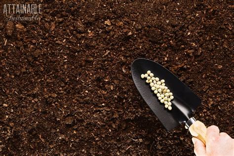 5+ Ways to Improve Soil for a Thriving Vegetable Garden