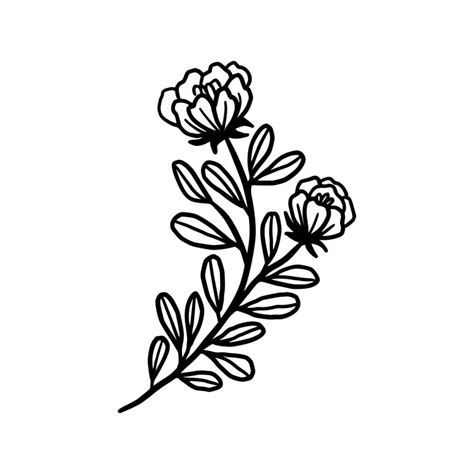 Vintage hand drawn peony flower line art vector element 34956900 Vector ...