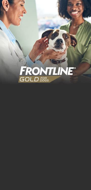 FRONTLINE® Gold for Dogs | Triple Action Flea and Tick Treatment