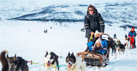 Tromsø: Guided Husky Sledding with Traditional Lunch | GetYourGuide