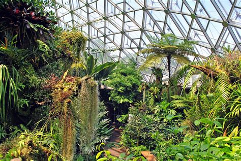 Inside the Climatron | Missouri Botanical Garden | Aaron Carlson | Flickr