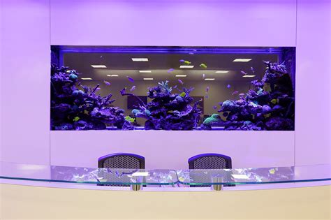 Office Aquarium - Aquarium Architecture