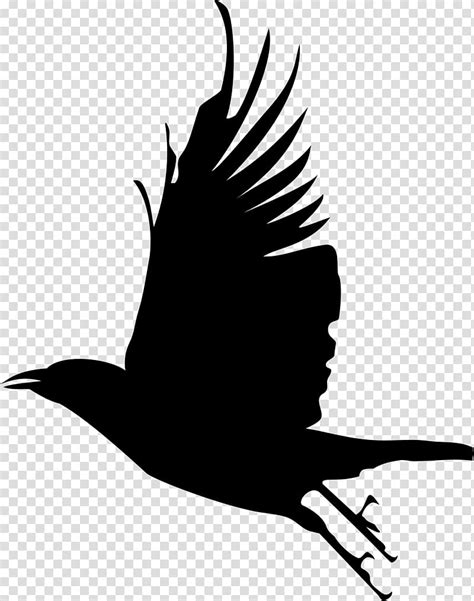 Drawing Of Family, Bird, Silhouette, Crow, Flight, Common Raven, Cartoon, Crows transparent ...