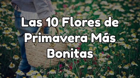 10 Flores de Primavera más Increíbles【 Incluye Fotos y Nombres