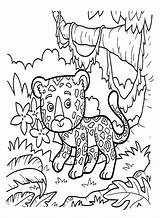 20  Jaguar Coloring Pages Free Printable PDF & Online sketch template