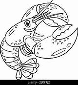 Lobster Coloring Page Isolated For Kids Stock Vector Image & Art  Alamy sketch template