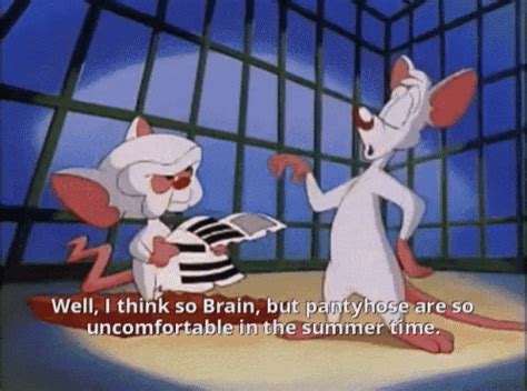 Pinky Brain GIF - Pinky Brain Animaniacs - Discover & Share GIFs