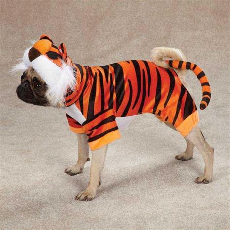 Bengal Buddy Dog Costume | Pet costumes, Dog halloween costumes, Dog ...