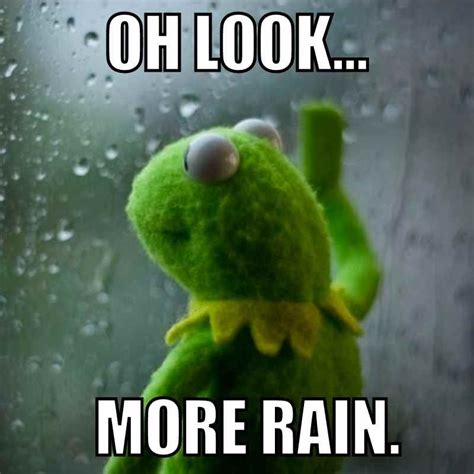 Best Rain Memes for Rainy Days and Stormy Weather | Funny rain quotes, Funny weather, Cold ...