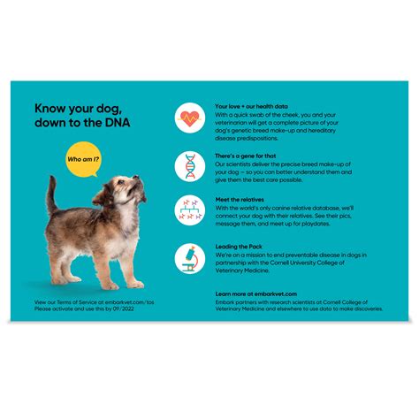 Embark Breed + Health Kit – Embark Vet