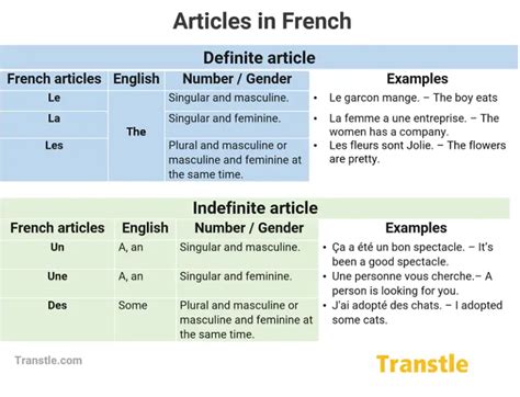 French Articles: List, Grammar, Examples, Exercises - Transtle