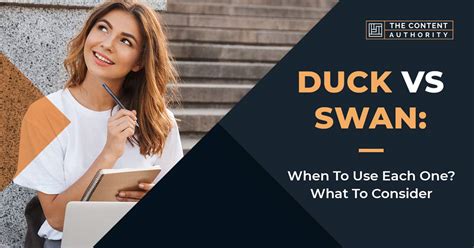 Duck Vs. Swan: When To Use Each One? What To Consider