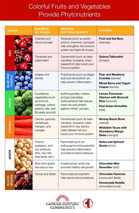 Diet & Nutrition During Cancer Treatment | Cancer Support Community