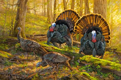 ryan_kirby_original_strutting_eastern_wild_turkey_painting_double_date | Turkey painting, Turkey ...