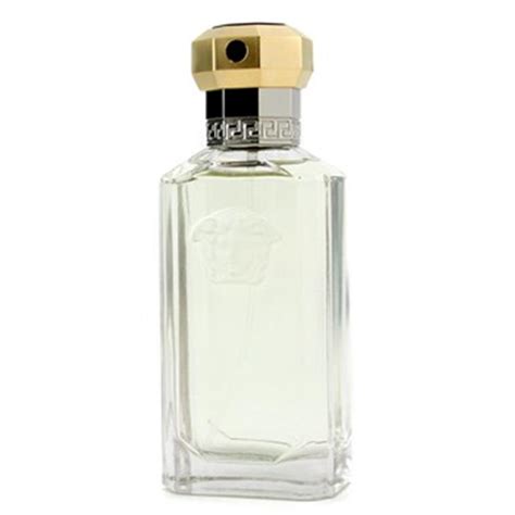 Buy Versace The Dreamer Eau de Toilette 100ml Online at Chemist Warehouse®