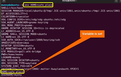 The “env” Command in Linux [9 Practical Examples]