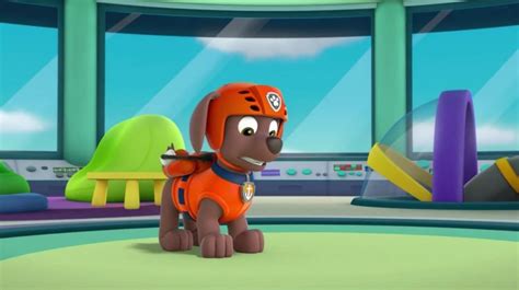 What Are the Dog Breeds of the Paw Patrol Characters?